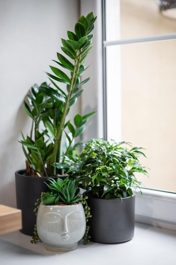 #Stayhere - Cozy 1Bdr Apartment Vilnius Old Town Εξωτερικό φωτογραφία